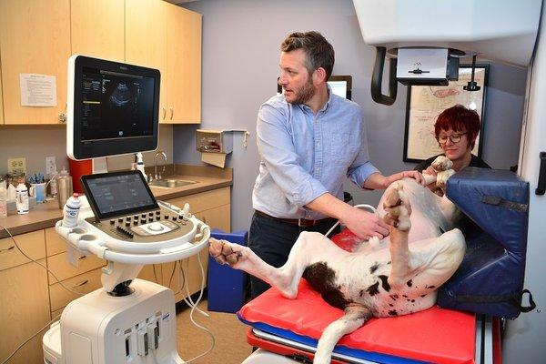 North Center Animal Hospital, A Thrive Pet Healthcare Partner