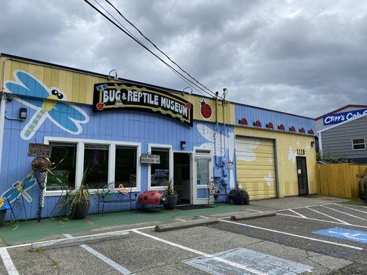 Bug & Reptile Museum