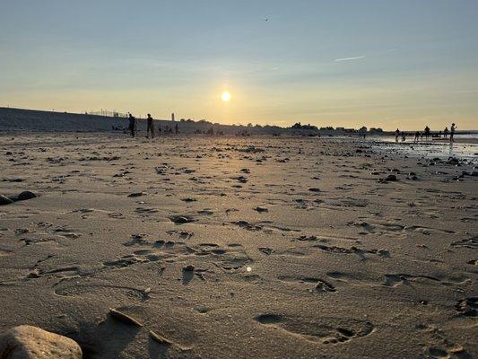 Town Neck / Boardwalk Beach