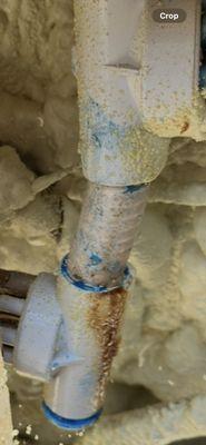 The Great Escape Avon