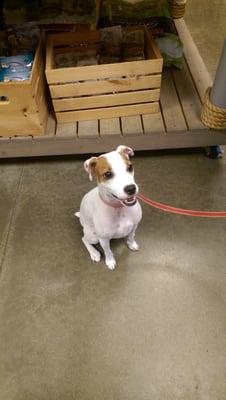 Happy Healthy Creatures