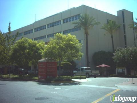 Michael P Miller, MD