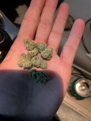 Lightshade Rec Dispensary