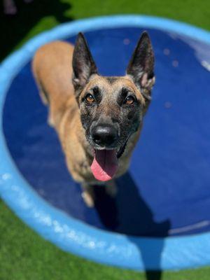 River at the training grounds