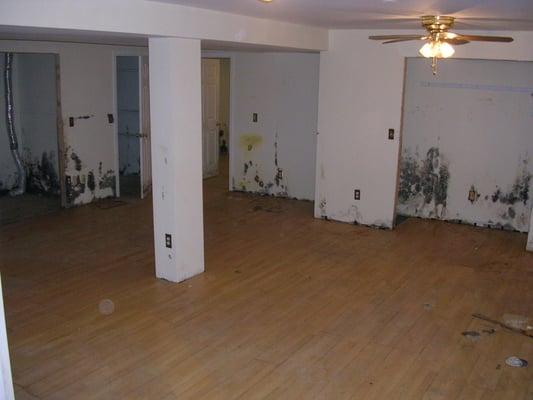 Toxic Mold Remediation, Before Photo
