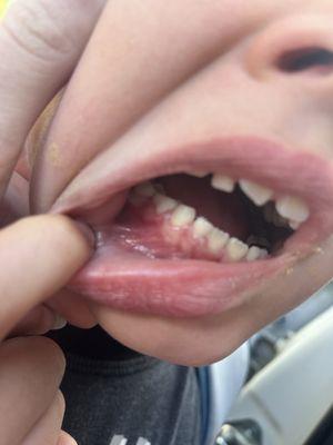 Yolo Dental Practice