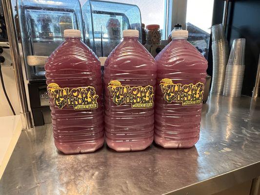 Willow’s Garden Juice Bar