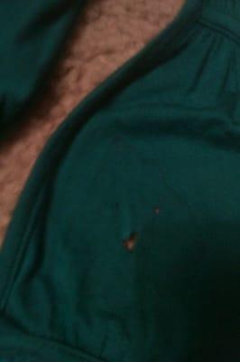 Crystal Brite Cleaners