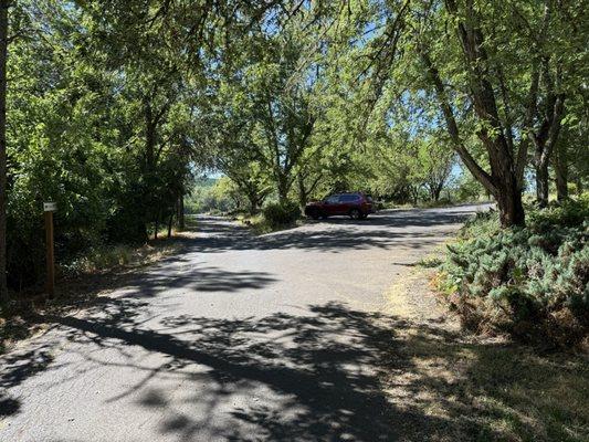 Parking lot for trail