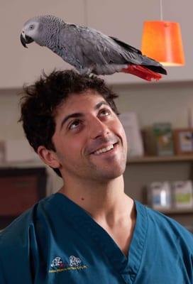 Animal Medical of New City