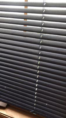 Gonzaga Cleaning Services