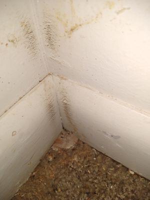 Lincoln Village Apartments