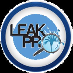Leak Pro Southeast
