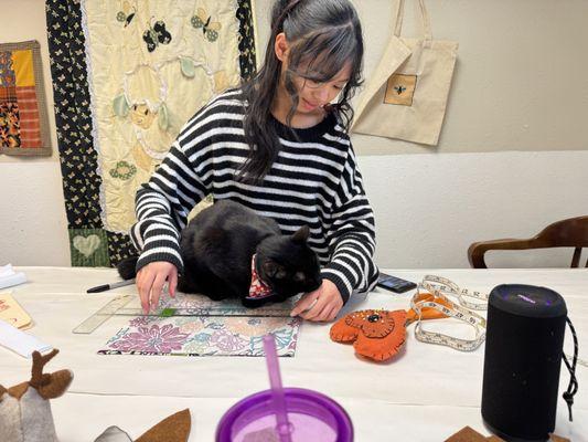 Sewing classes... cat support as needed