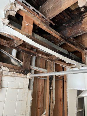 Loyal Hands Contracting