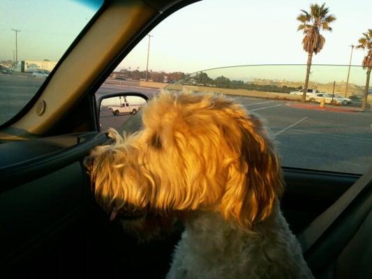 The Law Office Of Roberts J Arthur