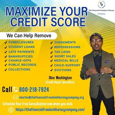 The Financial Freedom Literacy Company