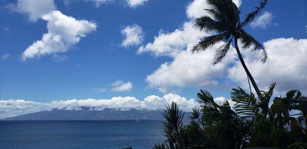 Blue Moon Massage Hale