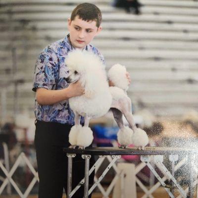 Brittney's Bark and Stay