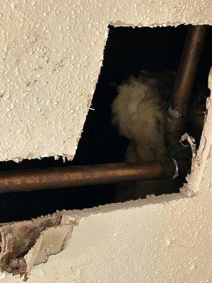 Autumn Ridge Apartments