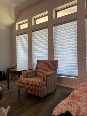 The Shady Lady Window Coverings