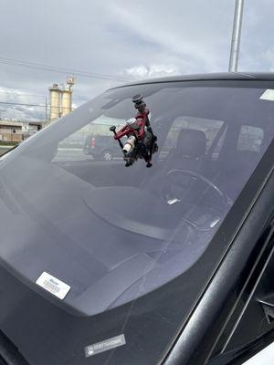 Low Price Auto Glass