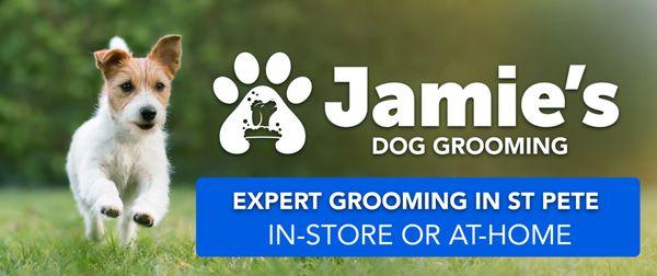 Dog grooming in St Petersburg, and in Tampa, FL