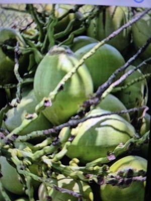 Plainfield Plaza Flea Market