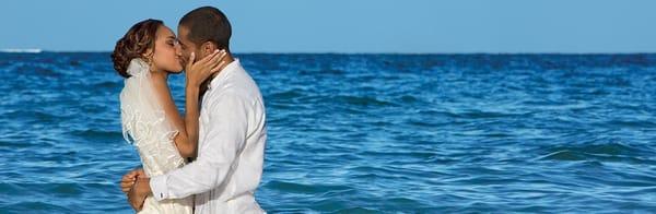 Violet Clover Travel Group