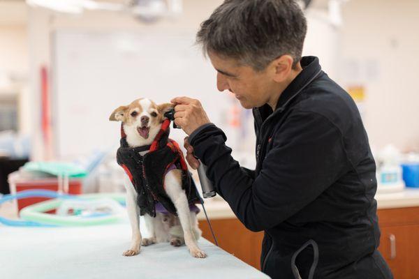 San Francisco SPCA Veterinary Hospital