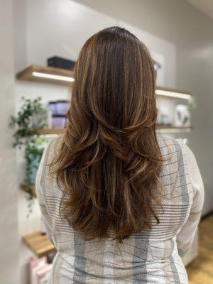 Chocolate inspired!
Evo color