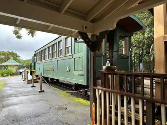 The Plantation Railway