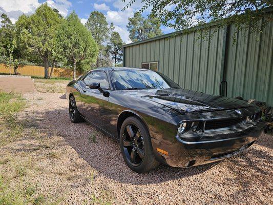 Pandora's Automotive