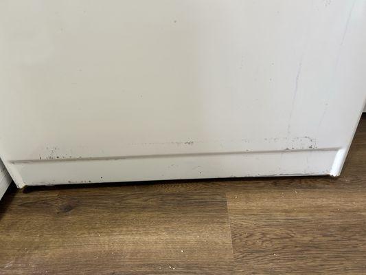 Mt. Clemens Appliance