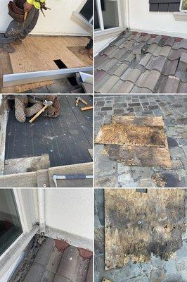 Leak Repair with New Plywood