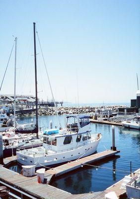 cinestill 800t at 400iso