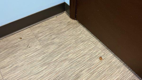 Copper Tan West Palm Beach