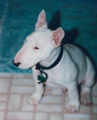 Judson Hathaway - EXIT Realty