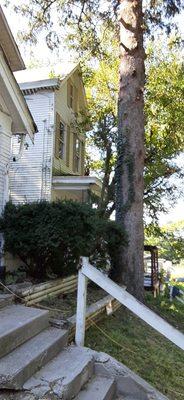 Cut it Lawn Care and Tree Services