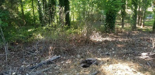 Solazzo's Grading & Hauling