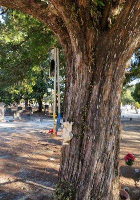 Long Branch Baptist Church