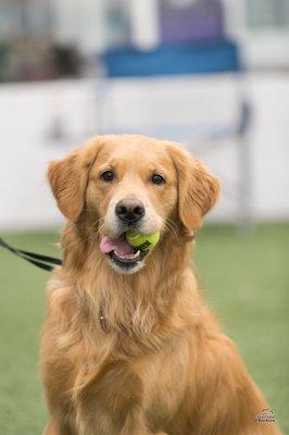 Book a Trainer Today!