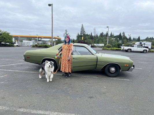 Jim Allen's Auto-Matics