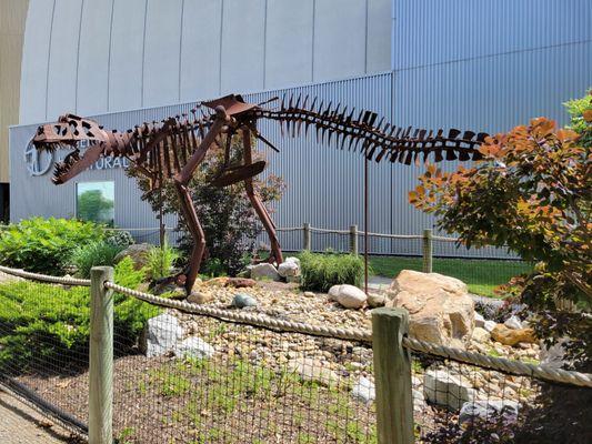 T-rex