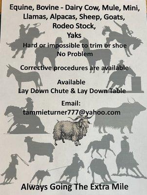 Tammie Turner A Cowgirls Helping Hands