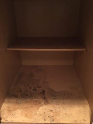 Under kitchen cabinet ACTUAL cabinet and what it looked like upon move in.