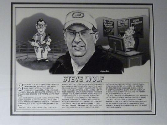 Steve Wolf Consultant