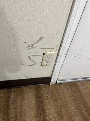 Dried blood in walls