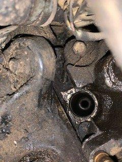 These Happy Days Repair & Maintain