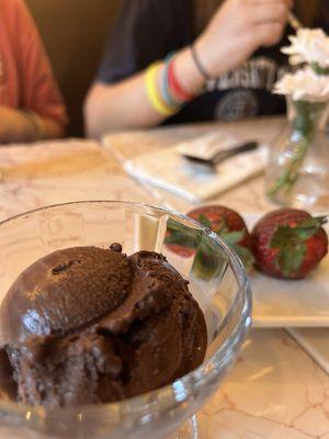 The Chocolate Bar